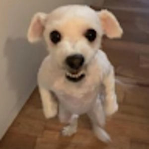 Meet your Posher, Olida